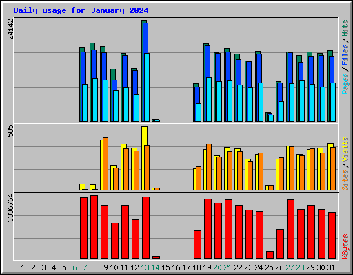 Daily usage for January 2024