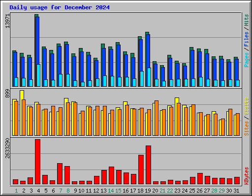 Daily usage for December 2024