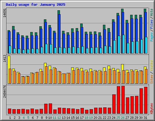Daily usage for January 2025