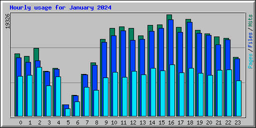 Hourly usage for January 2024