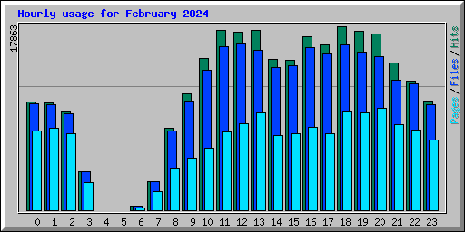 Hourly usage for February 2024