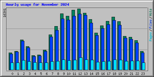 Hourly usage for November 2024