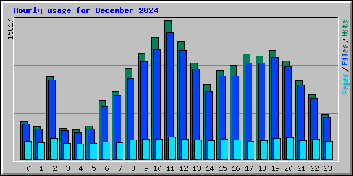 Hourly usage for December 2024
