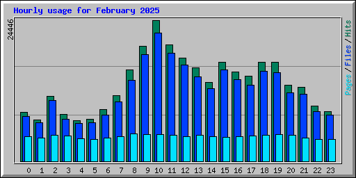 Hourly usage for February 2025