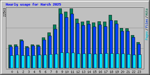 Hourly usage for March 2025