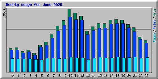 Hourly usage for June 2025