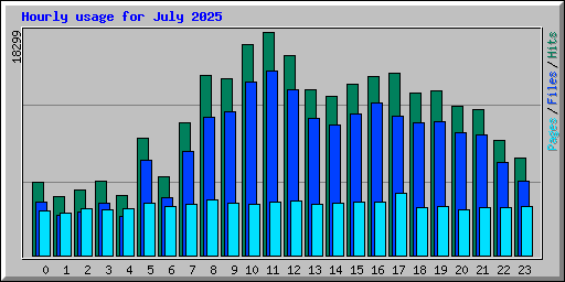 Hourly usage for July 2025