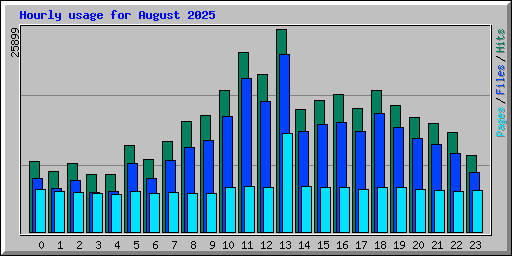 Hourly usage for August 2025