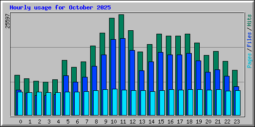 Hourly usage for October 2025