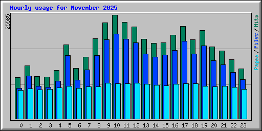 Hourly usage for November 2025