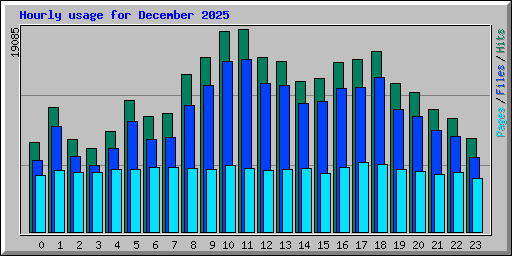 Hourly usage for December 2025