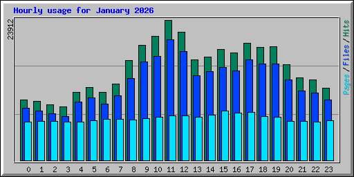 Hourly usage for January 2026
