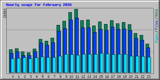 Hourly usage for February 2026