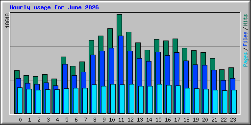 Hourly usage for June 2026