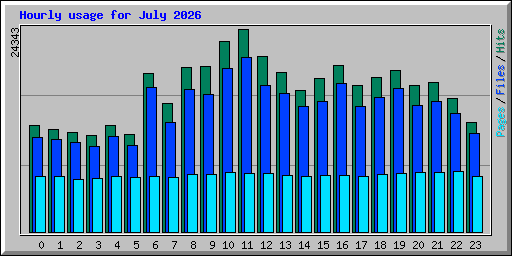 Hourly usage for July 2026