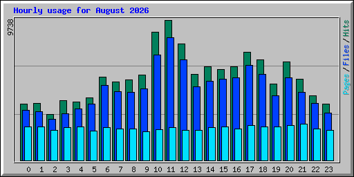 Hourly usage for August 2026